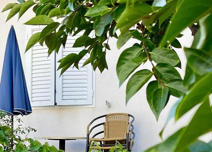 아파트 Leo 돈제페트레케인