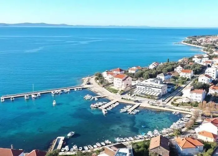 Leo 돈제페트레케인